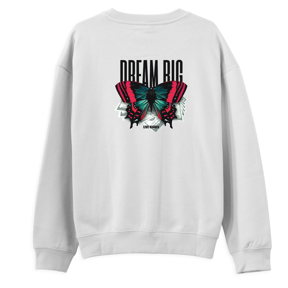 Big Dream - Sweatshirt